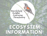 Ecosystem Information Image Link